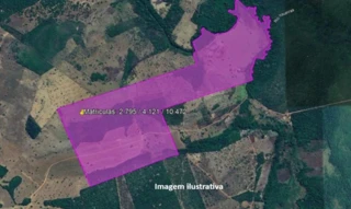 Imóvel 2995643 [''] - ['Fazenda Caraça, com acesso pela Rodovia MA-138,, zona rural - Estreito - MA'] [''] - ['Estreito']/['MA'] - 1