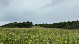 Imóvel 2716943 [''] - ['Distrito de São José do Inhacorá'] [''] - ['Três De Maio']/['RS'] - 1