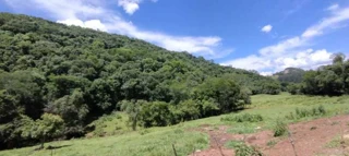 Imóvel 2611443 [''] - ['interior, s/nº'] [''] - ['Maximiliano De Almeida']/['RS'] - 1