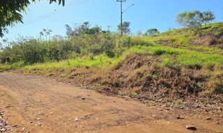 Imóvel 2952443 [''] - ['LOTE URBANO Nº. 06 DA QUADRA Nº 12 DO LOTEAMENTO ESTRELA DOURADA'] [''] - ['Nova Prata Do Iguaçu']/['PR'] - 1