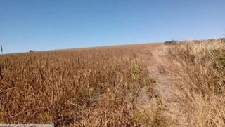 Imóvel 2721343 [''] - ["Sítio D'Abadia, GO"] [''] - ["Sítio D'Abadia"]/['GO'] - 1