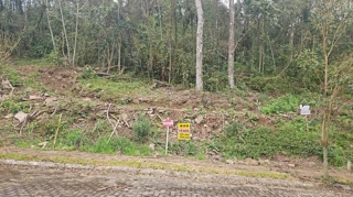 Imóvel 2504143 [''] - ['Rua Bosque das Coníferas, Linha Imperial'] [''] - ['Nova Petrópolis']/['RS'] - 1