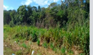 Imóvel 2596643 [''] - ['Nao informado Nao informado'] [''] - ['Marituba']/['PA'] - 1