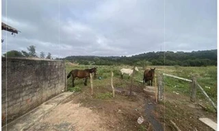 Imóvel 2609143 [''] - ['Rua Jordão Spiller, 110'] [''] - ['Piraí Do Sul']/['PR'] - 1