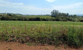 Imóvel 3046044 [''] - ['Estrada Rural, SN, Gleba 14, Colônia Muquilão'] [''] - ['Nova Tebas']/['PR'] - 1