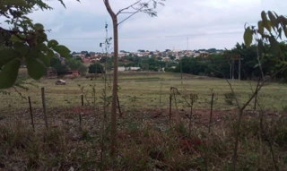Imóvel 3018844 [''] - ['Entrocamento das Ruas José Bernardino Leão, S/N, 16980-210, Rua João Hongo, Conjunto Habitacional Doutor José Olavo Diniz, Guaraçaí, SP, 16980-224,'] [''] - ['Guaraçaí']/['SP'] - 1