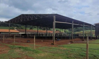 Imóvel 2607644 [''] - ['Fazenda Nova Era, situada do perímetro rural do município de Batatais/SP, Rodovia Prefeito Geraldo Marinheiro, km 06'] [''] - ['Batatais']/['SP'] - 1