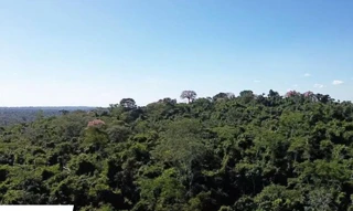 Imóvel 3013944 [''] - ['Fazenda Santa Helena, Juara, MT'] [''] - ['Juara']/['MT'] - 1