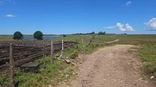 Imóvel 2617144 [''] - ['Fazenda da Cria'] [''] - ['Cambará Do Sul']/['RS'] - 1