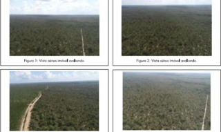 Imóvel 3027644 [''] - ['Localizado no município de Belágua, estado do Maranhão'] [''] - ['Belágua']/['MA'] - 1