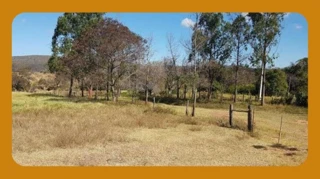 Imóvel 3078444 [''] - ['Poço Fundo - Brusque/SC'] ['Poço Fundo'] - ['Brusque']/['SC'] - 1