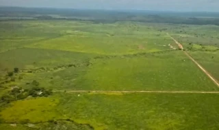 Imóvel 2924744 [''] - ['FAZENDA PONTAL- LUGARES EXTREMINHAS E POÇÕES'] [''] - ['Lagoa Grande']/['MG'] - 1