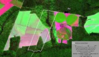 Imóvel 2608544 [''] - ['Gleba Selva Denominada Fazenda Primavera Vii, 0, Nova Maringá, Nova Maringá - MT'] [''] - ['Nova Maringá']/['MT'] - 1