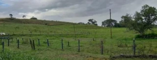 Imóvel 2807944 [''] - ['FAZENDA CHAPADÃO MUTUCA E BABILÔNIA CHAPADÃO'] [''] - ['Patos de Minas']/['MG'] - 1