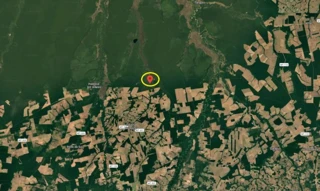 Imóvel 3047744 [''] - ['FAZENDA SÃO JUDAS TADEU'] [''] - ['Gaúcha Do Norte']/['MT'] - 1