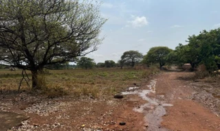 Imóvel 2544144 [''] - ['Lote nº 08 da Quadra nº 49'] [''] - ['Araguacema']/['TO'] - 1