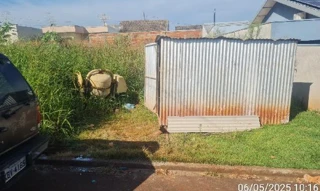 Imóvel 2358444 ['8444424477891'] - ['RUA MOACIR VIEIRA DE PAULA,N. 423 LT 05 QD 14, LOT JARDIM AMÉRICA - CEP: 85830-000, FORMOSA DO OESTE - PARANA'] [''] - ['Formosa Do Oeste']/['PR'] - 1