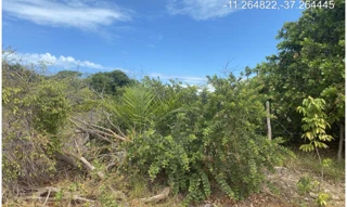 Imóvel 2955444 [''] - ["Camilo Calazans de Magalhães (Estrada do Abais), s/n - Quadra 68, Lote 09 - Loteamento Vila Rica do Abais - Itaporanga d'Ajuda / SE"] [''] - ["Itaporanga D'Ajuda"]/['SE'] - 1