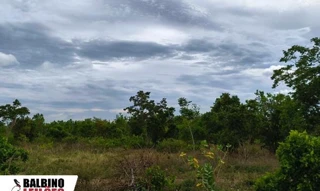 Imóvel 2565544 [''] - ['Rua “O”, Distrito Industrial, Cuiabá, MT'] ['Distrito Industrial'] - ['Cuiabá']/['MT'] - 1