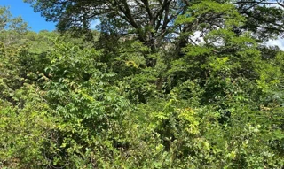 Imóvel 2577344 [''] - ['Santana do Riacho'] [''] - ['Santana Do Riacho']/['MG'] - 1