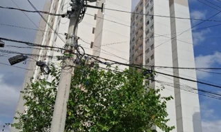 Imóvel 2902045 ['8787716660630'] - ['AVENIDA JOSE BENEDITO MARI,N. 30 APTO. 202 2º PAV BL 1 SUBCOND 1 HIS-1, VILA PALMEIRAS - CEP: 02933-000, SAO PAULO - SAO PAULO'] ['Brasilândia'] - ['São Paulo']/['SP'] - 1