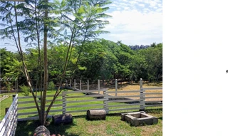 Imóvel 2612245 [''] - ['RUA DOS GERÂNIOS (ACESSO PELA RODOVIA LEONÍDIO DE SOUZA BARROS), 60, FAZENDA FLORESTA'] [''] - ['Alambari']/['SP'] - 1