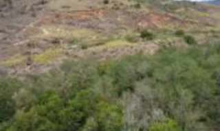 Imóvel 2590945 [''] - ['Duas Barras, distrito da sede de Cachoeiro de Itapemirim'] [''] - ['Cachoeiro De Itapemirim']/['ES'] - 1