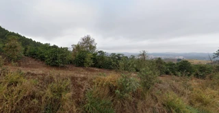 Imóvel 2853445 [''] - ['lugar denominado Fazenda Santa Amália'] [''] - ['Machado']/['MG'] - 1