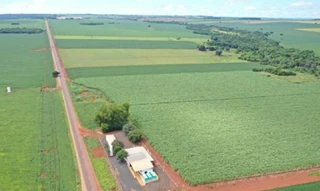 Imóvel 2948545 [''] - ['Rod. BR-060, GO-217, GO-215 e ROD GO-320 A EDEIA KM05 A ESQ, Fazenda Pombas - Vicentinópolis-GO, CEP 75555-000'] [''] - ['Vicentinópolis']/['GO'] - 1
