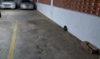 Imóvel 2607145 [''] - ['Av. Francisco Petuco, nº 45'] ['Boa Vista'] - ['Porto Alegre']/['RS'] - 1