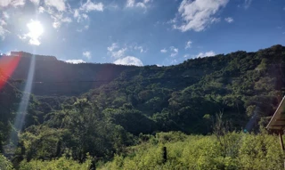 Imóvel 2600845 [''] - ['Córrego Santa Rita, - Zona Rural Mutum - MG'] [''] - ['Mutum']/['MG'] - 1