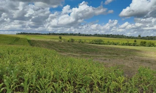 Imóvel 2707245 [''] - ['Lote 24-B da Gleba 7,'] [''] - ['Rolim De Moura']/['RO'] - 1