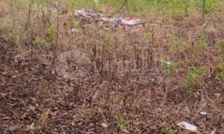 Imóvel 2607545 [''] - ['Linha 1º de Março'] [''] - ['Porto Lucena']/['RS'] - 1