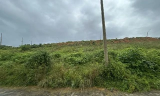 Imóvel 2624645 ['8444436352959'] - ['RUA EM PROJETO,N. SN LT 49 QD 04, CENTRO - CEP: 57100-000, RIO LARGO - ALAGOAS'] [''] - ['Rio Largo']/['AL'] - 1