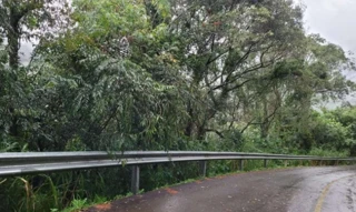 Imóvel 2634945 [''] - ['Boa Esperança, Rolante/RS'] [''] - ['Rolante']/['RS'] - 1