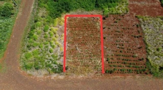 Imóvel 2952445 [''] - [''] [''] - ["São Jorge D'Oeste"]/['PR'] - 1