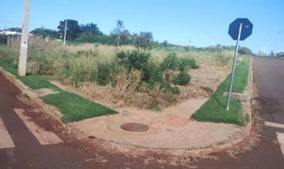 Imóvel 2655745 [''] - ['Rua Santa Albertina Berkenbrock, 456, Loteamento: Jardim Ravena - Lote 01 - Quadra 20, Centro, Cafelândia, PR, CEP: 85415970'] [''] - ['Cafelândia']/['PR'] - 1