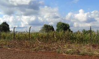 Imóvel 1531746 ['IDR177212'] - ['Rua Otávio Kischner, s/n, Quadra 37, Lotes 18, 19 e 20, São José do Operário, Capanema, PR, 85760-000'] [''] - ['Capanema']/['PR'] - 1