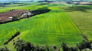 Imóvel 2855346 [''] - [', S/N - Imóvel com até 95% de área agricultável - Interior'] [''] - ['Espumoso']/['RS'] - 1