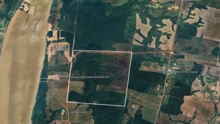 Imóvel 2455246 [''] - ['Área Rural, Lts. 02b, 04, 05 Pf Alto Madeira, 2, Área Rural de Porto Velho, Porto Velho, RO'] ['Industrial'] - ['Porto Velho']/['RO'] - 1