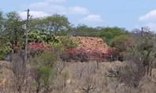 Imóvel 2915346 [''] - ['Fazenda Saco da Roça'] [''] - ['Pio Ix']/['PI'] - 1