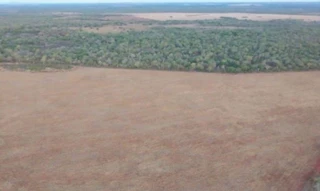 Imóvel 2995646 [''] - ['Lote nº 32, margem Direita do Ribeirão Riachão,, zona rural - Ipueiras - TO'] [''] - ['Ipueiras']/['TO'] - 1