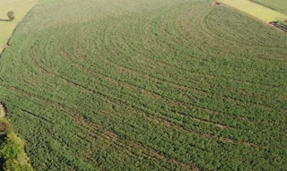 Imóvel 2584446 [''] - ['LOTE nº SE-1-A, medindo a área de 21,7985ha, situado no Município e Comarca de Santa Fé'] [''] - ['Santa Fé']/['PR'] - 1