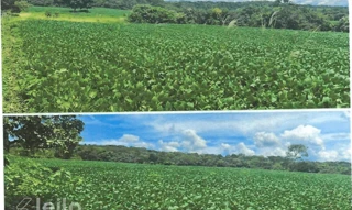 Imóvel 2928646 [''] - ['Fazenda Dois Irmãos'] ['Área Administrativa'] - ['Senador Canedo']/['GO'] - 1