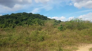 Imóvel 2388946 [''] - ['Lote de terreno, nº 531, com área de 107.148,16 m2, no extinto Núcleo Colonial São Bento, da 7ª Gleba'] ['Núcleo Colonial São Bento'] - ['Belford Roxo']/['RJ'] - 1