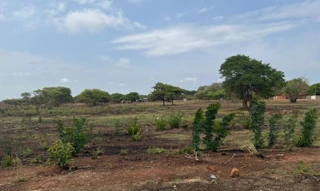 Imóvel 2609746 [''] - [''] [''] - ['Araguacema']/['TO'] - 1