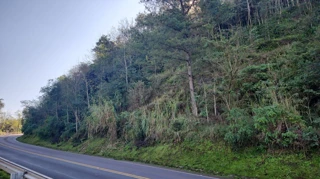 Imóvel 2920746 [''] - ['LOTE URBANO NÚMERO 03 (TRÊS), DA RUA LAJU'] [''] - ['Mondaí']/['SC'] - 1