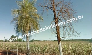 Imóvel 2195046 [''] - ['Rua Projetada, s/n'] [''] - ['Rio Brilhante']/['MS'] - 1
