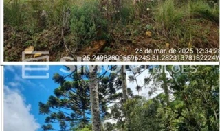 Imóvel 3024146 [''] - ['Guarapuava/PR'] [''] - ['Guarapuava']/['PR'] - 1
