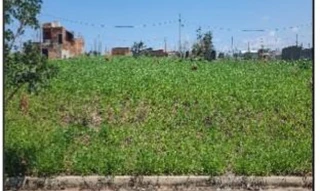 Imóvel 2667746 ['10281987'] - ['RUA SAMAAN BARBAR EL KHOUAIRY,N. 163 QD J, LT 13, LOTEAMENTO RESIDENCIAL YPE - CEP: 13801-642, MOGI MIRIM - SAO PAULO'] ['residencial Ypê'] - ['Mogi Mirim']/['SP'] - 1